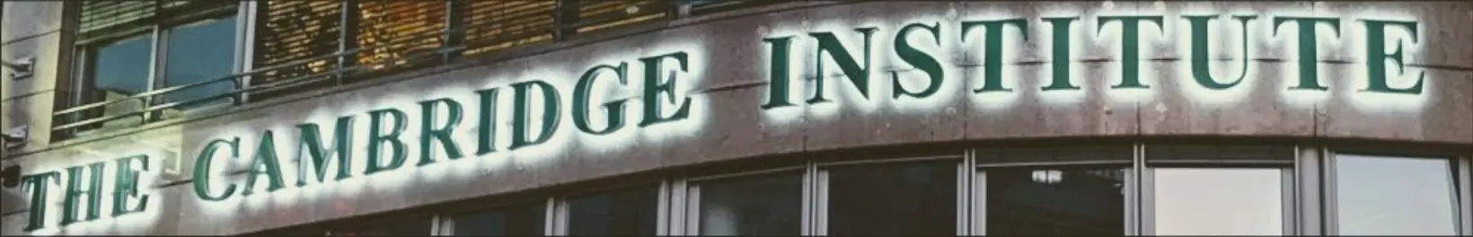 Banner TCI Website2 modena