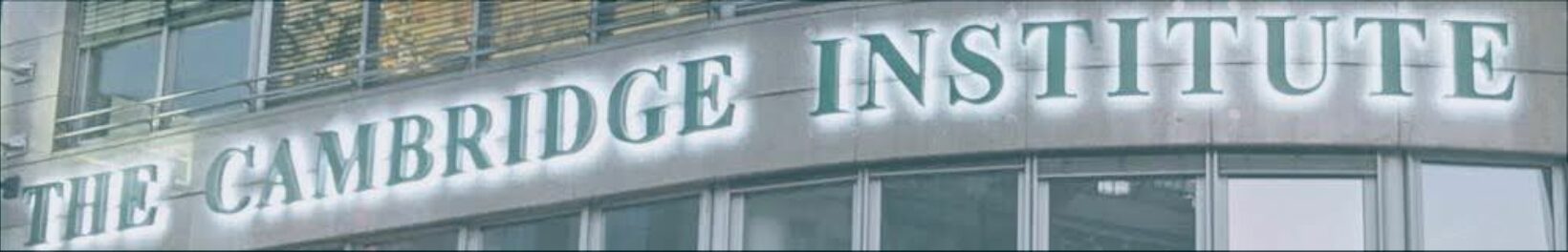 Banner TCI Website3 ollie